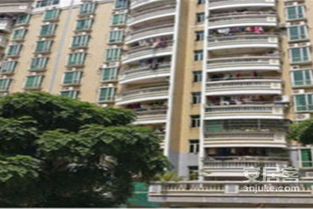 探礦廠宿舍居住體驗全解析 優點、不足與周邊房產中介評價